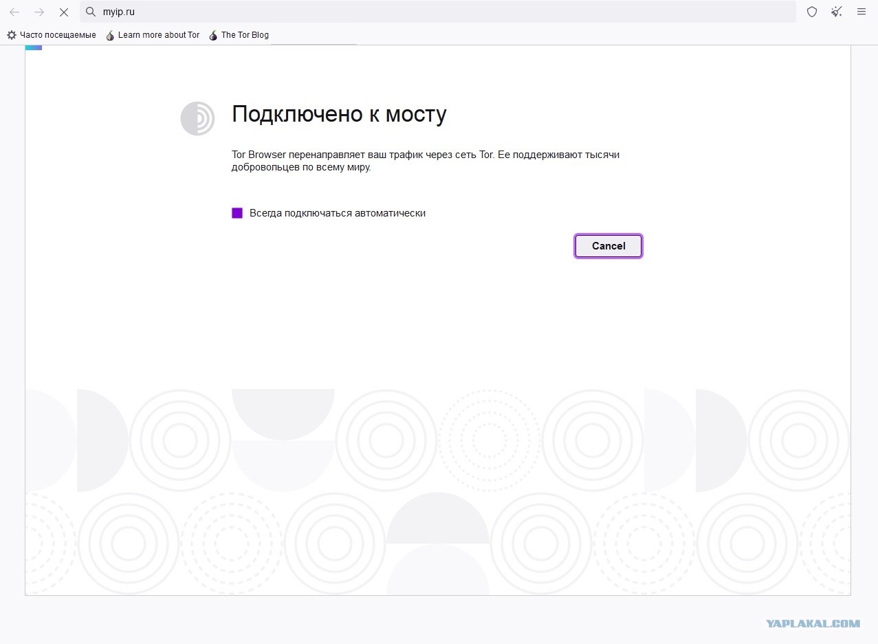 Ссылка кракен не работает