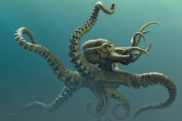 Kraken18 at