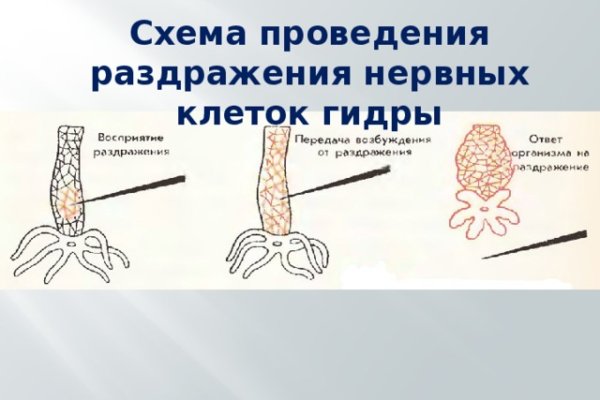 Кракен актуальная ссылка на сегодня