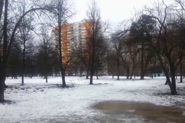 Кракен at