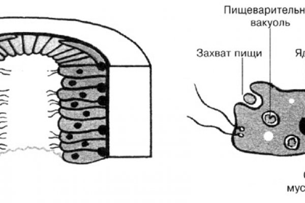 Кракен актуальная ссылка на сегодня