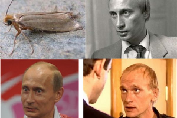 Не могу зайти в аккаунт кракен