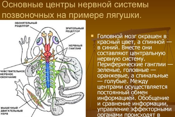 Магазин кракен как попасть