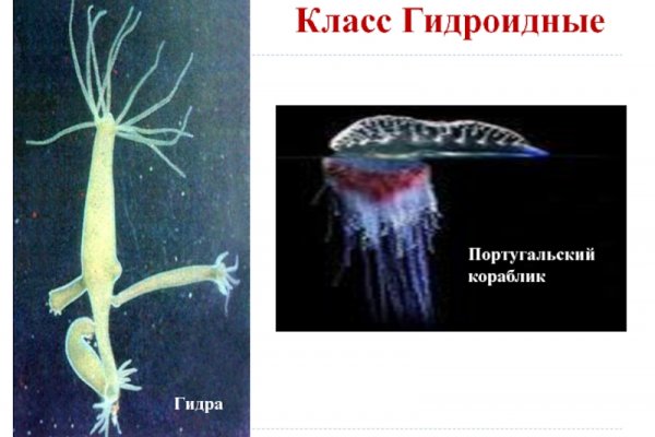Кракен ссылка 2025